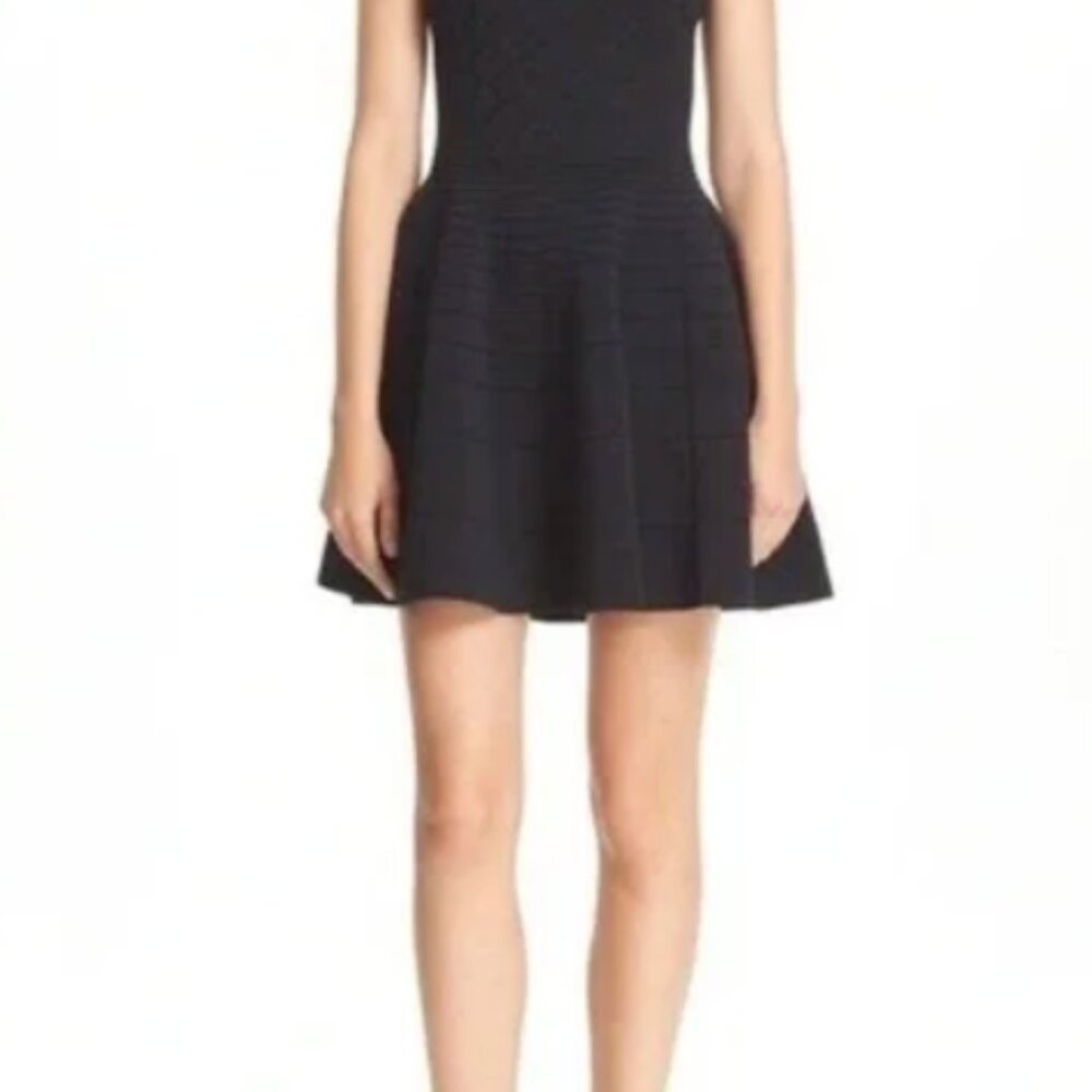 Ted Baker London Frinca Dress Size 4